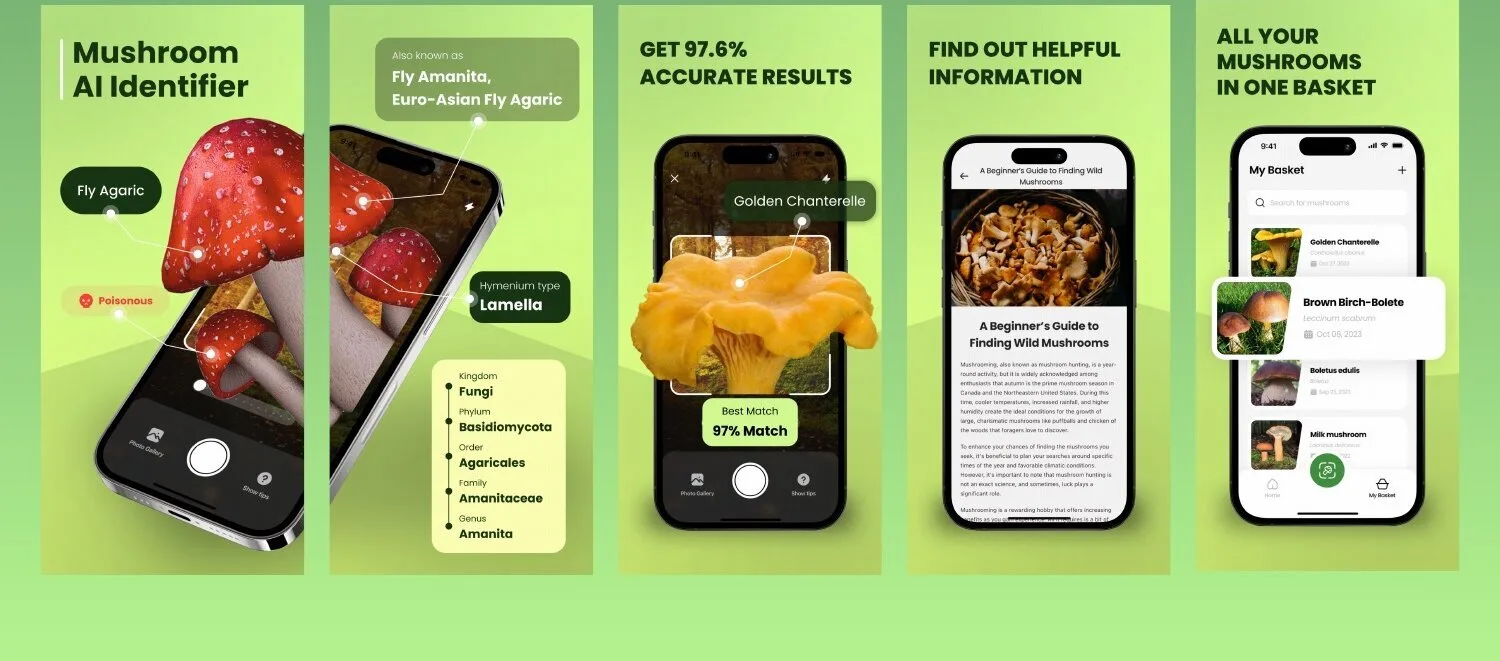 Mushroom Identifier iOS app screen 1 — Identify mushroom species from a photo with AI and a curated database.